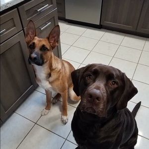 Meet your Posher, Jon